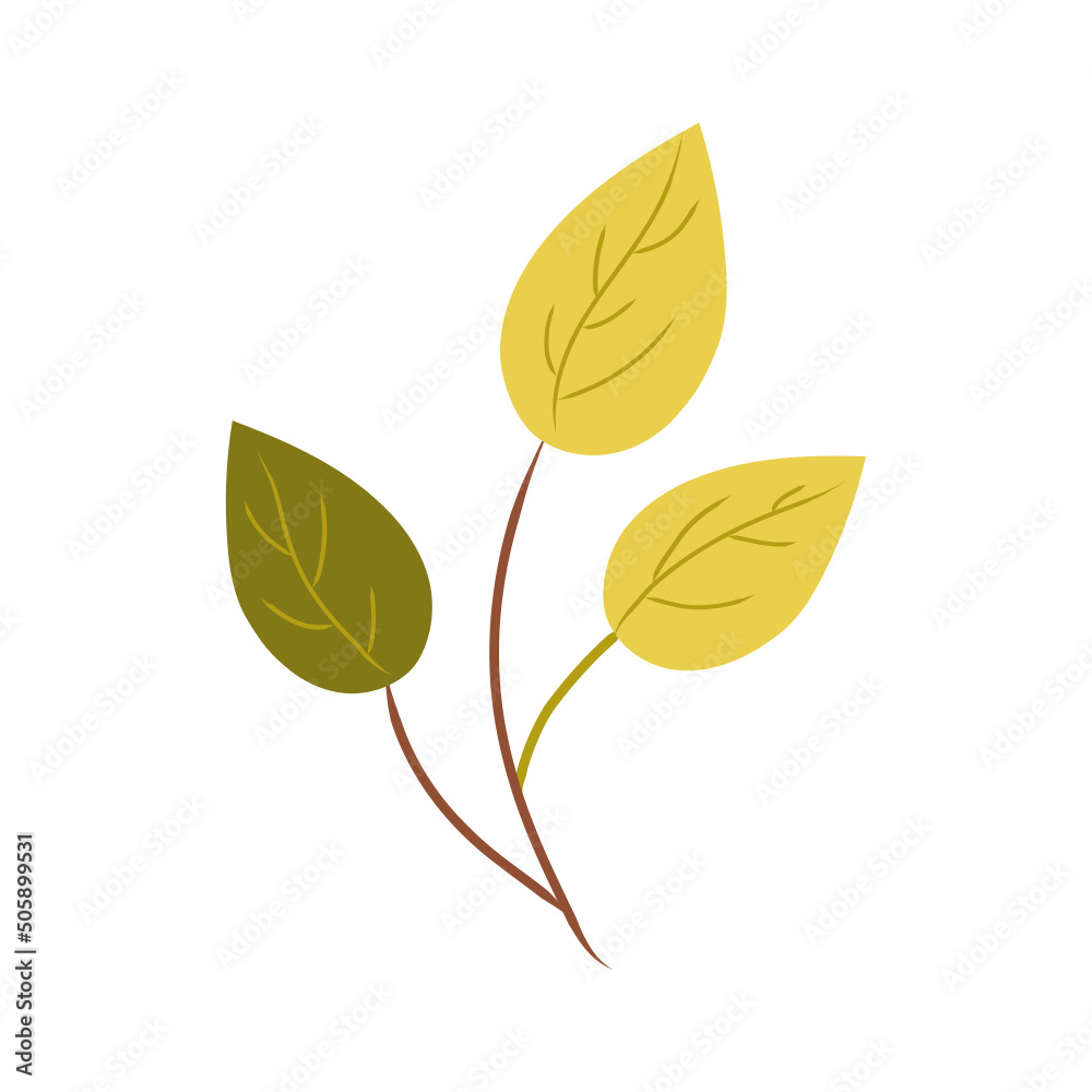 Plant Plant