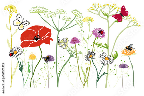 Childrens poster and learning about Biodiversity with a naive and sweet and colorfull drawing of flowers, butterfy, bees and ladybug