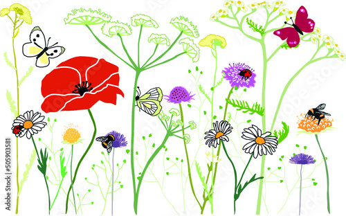Illustration for children about Biodiversity and flowers and insects