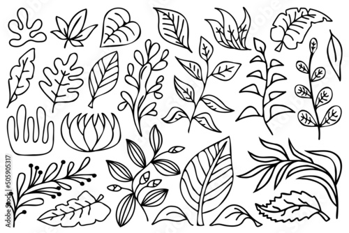 Black outline botanical design elements. Line art flowers  branches and leaves  black and white illustration set.