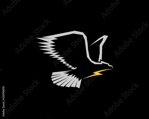 Flying eagle with energy symbol in the middle