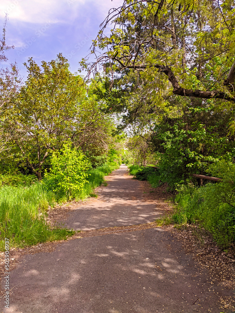 Botanical garden in springtime, beauty in nature.