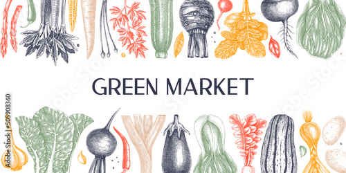 Hand-drawn vegetables vector banner design. Hand-sketched healthy food illustration. Vintage edible plants hand-drawings. Kitchen vegetables frame template in sketched style. For menu or banners