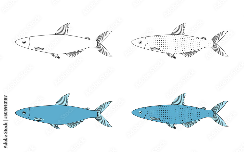 Alestes fish doodle vector illustrator isolated on white background.