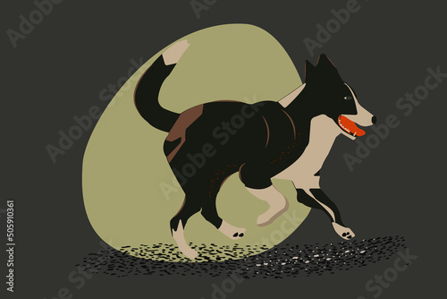 big black and white dog
