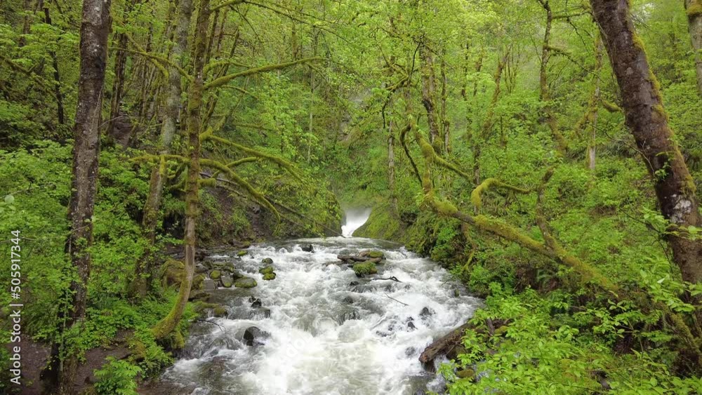 Bridal Veil Creek flows towards the Columbia River through Oregon's lush, scenic forest. Bridal Veil Creek flows towards the Columbia River through Oregon's lush, scenic forest.
