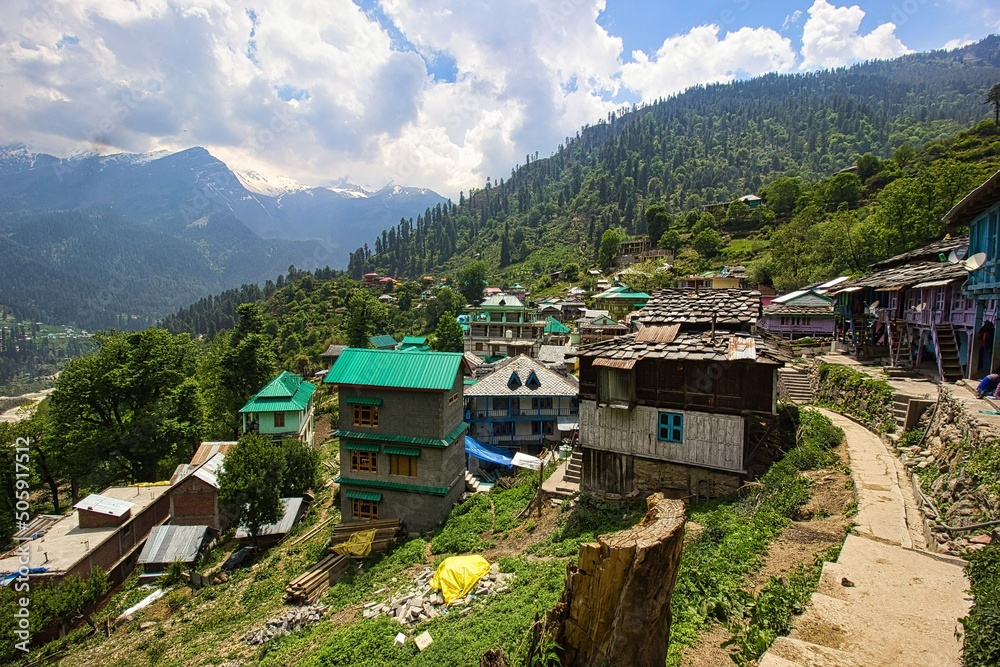Green Mountain, Tosh Village, Himachal Pradesh, India