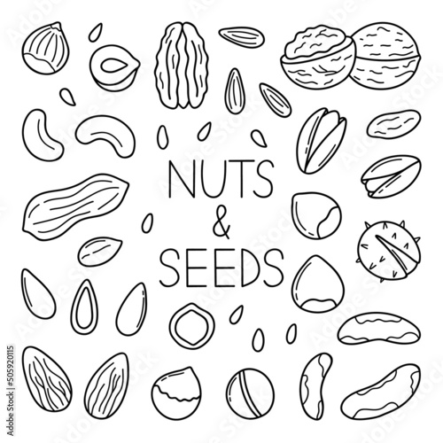 Hand drawn set of nuts and seeds doodle. Almond, hazelnut, pistachio, macadamia, cashew, walnut in sketch style.  Vector illustration isolated on white background