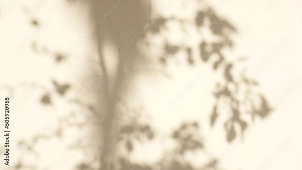 Abstract grey shadows of leaves and tree silhouette background. Natural leaves reflections and sunlight dappled on yellow wall textured background. 4k video filtered in vintage light brown sepia color