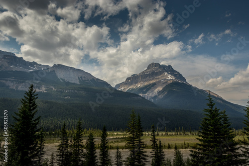 The Rockies reach up high Ice Fields Parkway Banff National Park Alberta Canada © David