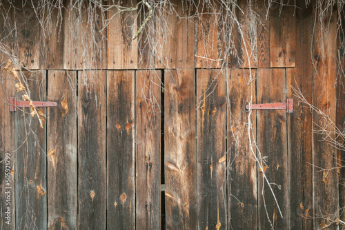 Old retro wooden background with rustic barnhouse doors in the trees photo