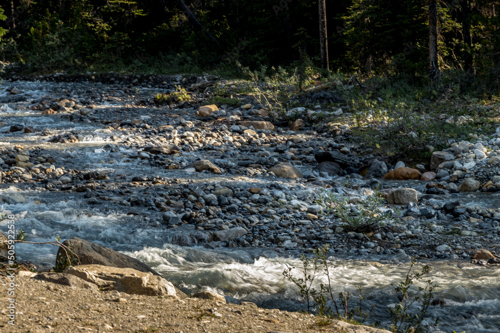 Water flows over rocks from the mountains Mosquito Creek Banff National Park Alberta Canada