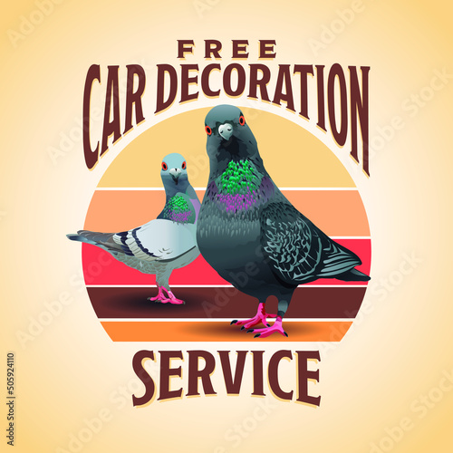 Pigeons free car decoration service, funny doves, crazy pigeons
