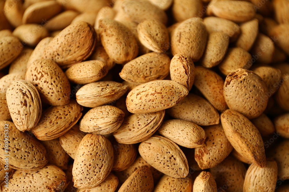 Lots of almonds displayed on grocery shelf. Lots of almonds displayed on grocery shelf.