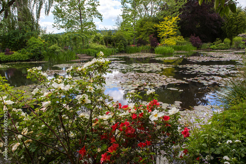 Fotografie, Obraz Pond, trees, and waterlilies in a french garden