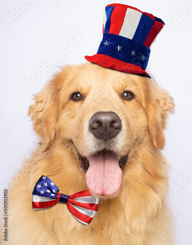 Happy golden retriever dog american flag hat and bow tie smile white background isolated portrait memorial day 4 july