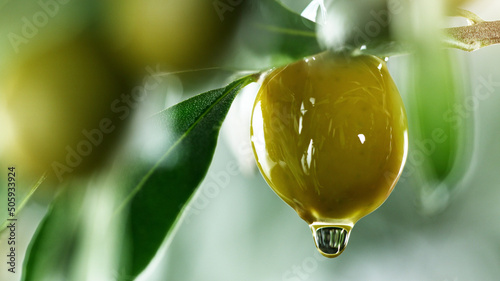 Cuadro en lienzo Olive oil drops from green olive berry close up, macro shot.