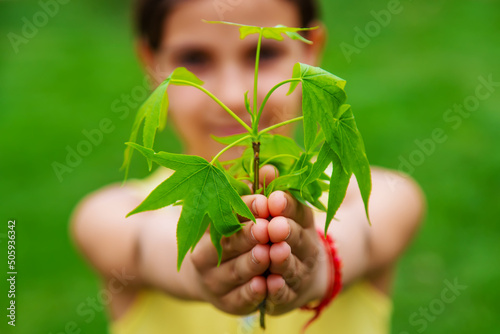 A child plants a plant in the garden. Selective focus.