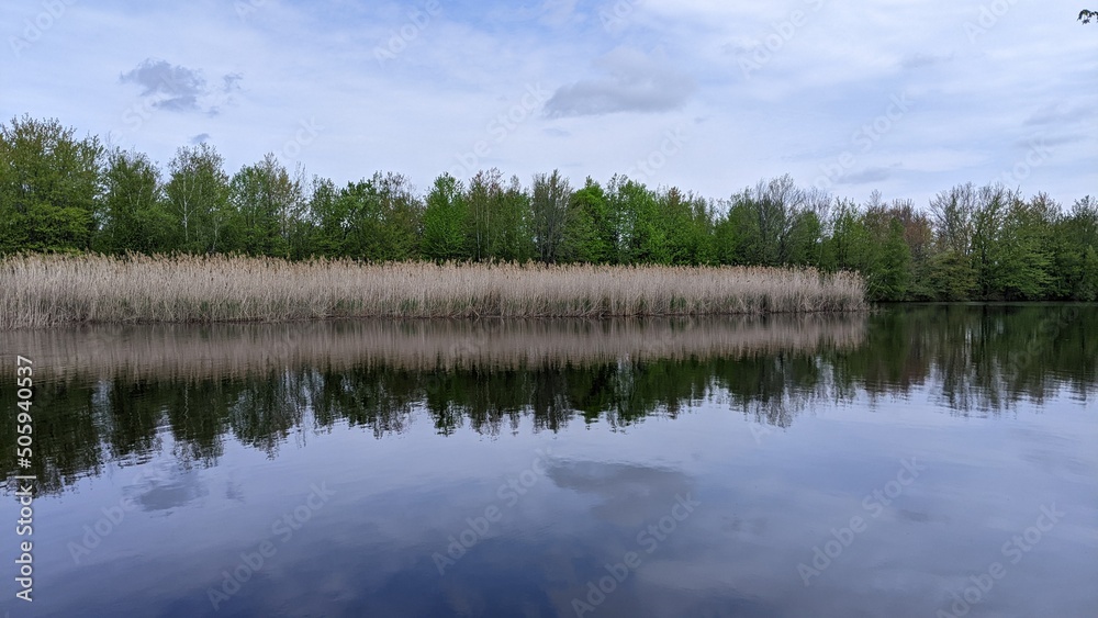 Fototapeta premium lake in the forest