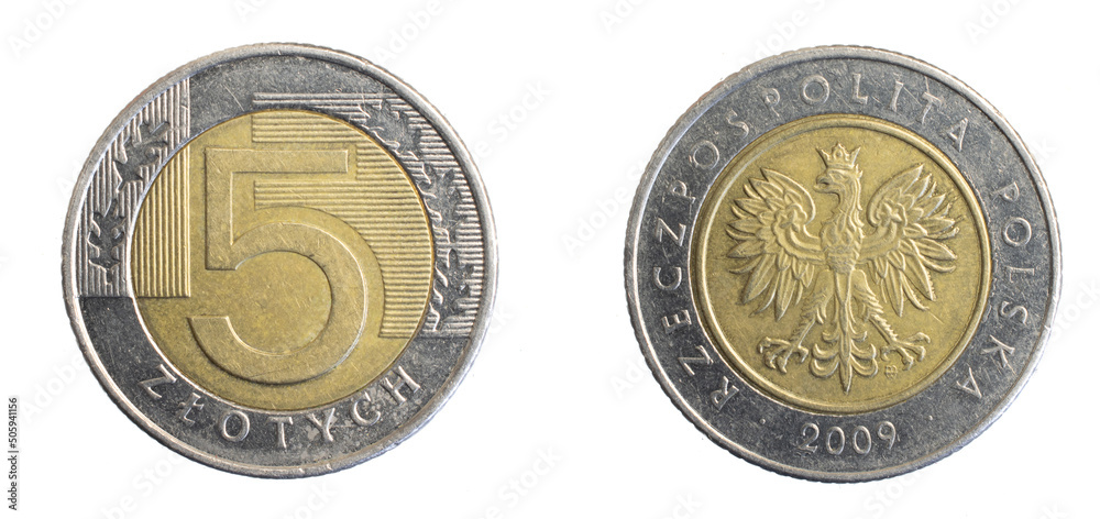 custom made wallpaper toronto digitalPolish five zloty coin on a white isolated background