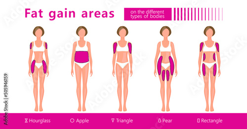 fat gain areas on woman figures, vector illustration