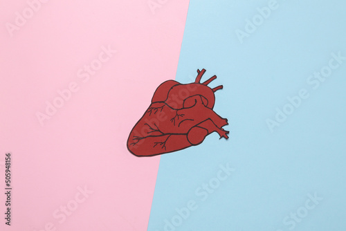Fototapeta Naklejka Na Ścianę i Meble -  Anatomical paper-cut heart on a blue-pink background. Medicine concept. Healthy and strong heart. Top view
