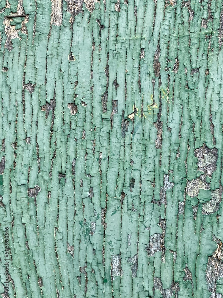 türkis grün abblätternde verwitterte Farbe auf Holz, Verlauf senkrecht, Struktur, Hintergrund türkis grün abblätternde verwitterte Farbe auf Holz, Verlauf senkrecht, Struktur, Hintergrund