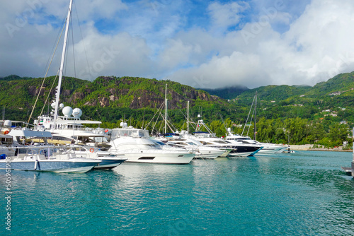 many white private yachts in the blue water in the port, dock, near green hills