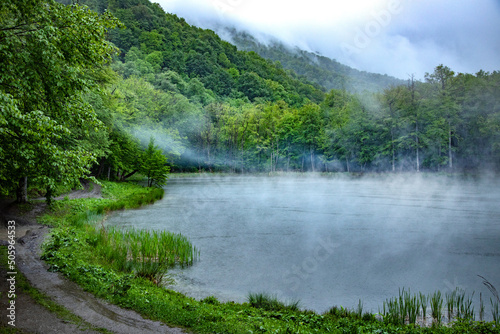 Foggy lake view with trees