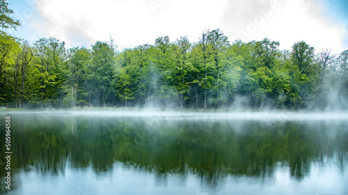 Foggy lake view with trees