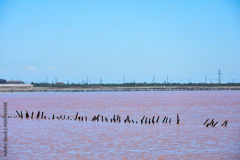 Fototapeta premium Pink Salt Lake in Crimea-Sasyk-Sivash