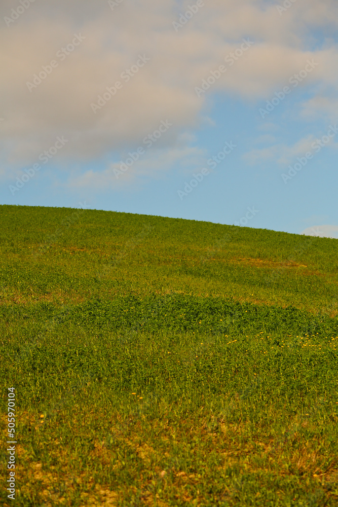 Paesaggio di primavera in Emilia Romagna