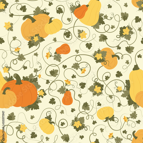 Vector seamless pattern with various pumpkins  leaves and flowers. Autumn holiday pattern for harvest festival or Thanksgiving Day. Can be used for wallpaper  background  gift wrapping and more.