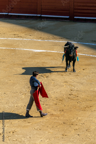 A bullfighter awaiting for the bull in the Plaza de Toros de Valencia