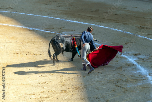 A bullfighter playing with the bull in the Plaza de Toros de Valencia
