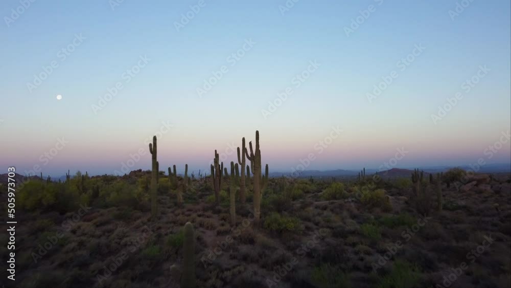 Sunrise With Moon Over A desert Landscape With Cactus In The Phoenix Arizona Area,
Sunrise With Moon Over A desert Landscape With Cactus In The Phoenix Arizona Area,