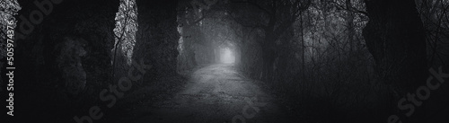 Obraz na płótnie Creepy dark landscape showing road through forest on a misty dark autumn day