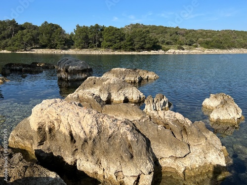 Фотография Rocky coast of the island of Čiovo in central Dalmatia, Croatia