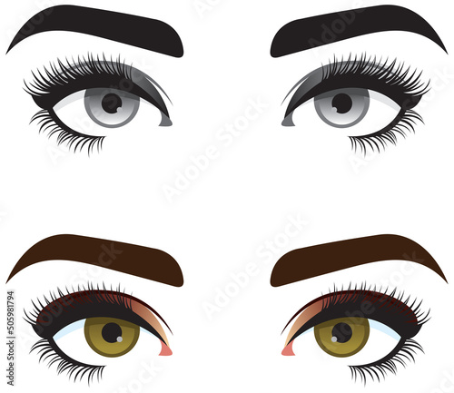 Close up stylized image of female eyes. Women eyes with long eyelashes and perfect eyebrows. Promotion of eyelash and eyebrow extension. Vector black and white monochrome and full color image