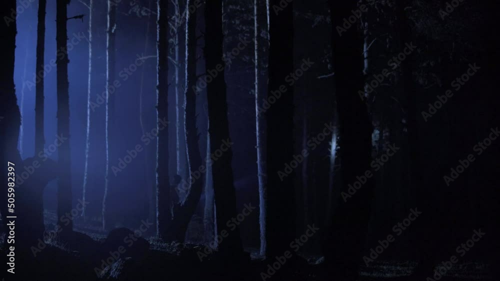 Man running in the forest at night.
Man running through the forest with a flashlight. He's running scared.
