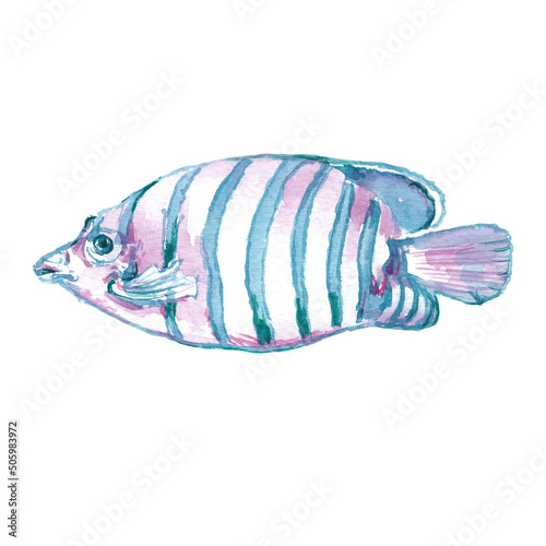 Watercolor fish clipart. Illustration isolated on white. Hand painted animal clipart. Ocean, sea life creatures, marine, nautical decor in pink, blue and emeral green colors. 