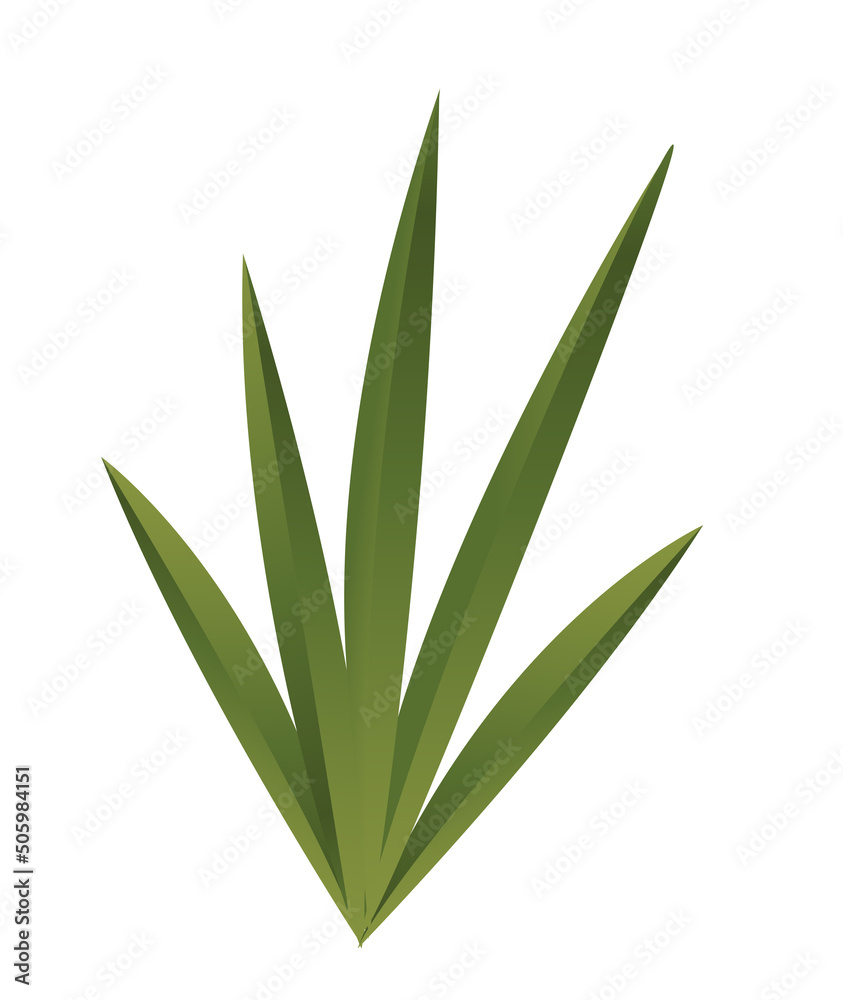 Tropical plant icon. Beautiful green aloe branch with long leaves. Exotic flower. Environment and nature. Design element for posters. Cartoon gradient vector illustration isolated on white background Tropical plant icon. Beautiful green aloe branch with long leaves. Exotic flower. Environment and nature. Design element for posters. Cartoon gradient vector illustration isolated on white background