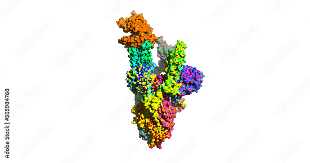 SARS-CoV-2 Omicron Spike protein with human ACE2 receptor SARS-CoV-2 Omicron Spike protein with human ACE2 receptor