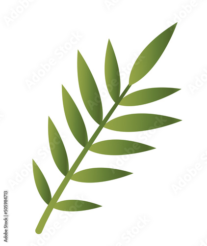 Fototapeta Naklejka Na Ścianę i Meble -  Tropical plant icon. Branch of forest tree with medium green leaves of oval shape. Design element for posters. Environment and nature. Cartoon gradient vector illustration isolated on white background