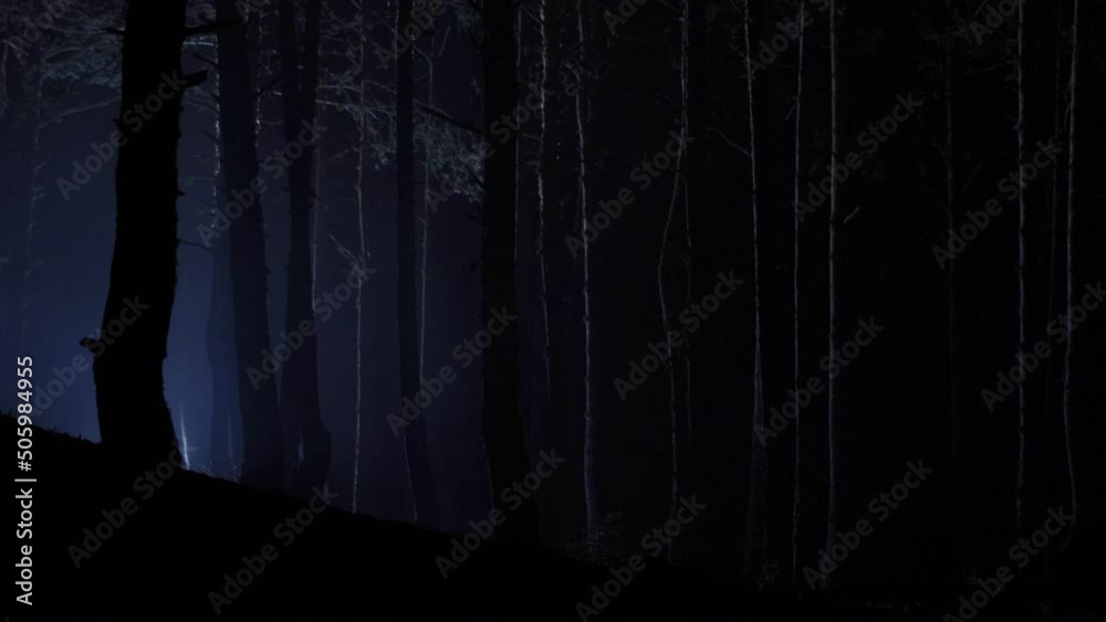Man in forest at night with lantern.
Man walking through the forest with a lantern at night.
