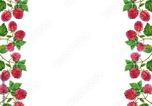 Raspberry. Frame with raspberry branches with berries and leaves. watercolor illustration. Isolated on white background.