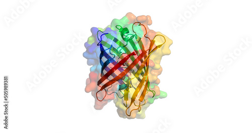 Green fluorescent protein (GFP) Azami-Green