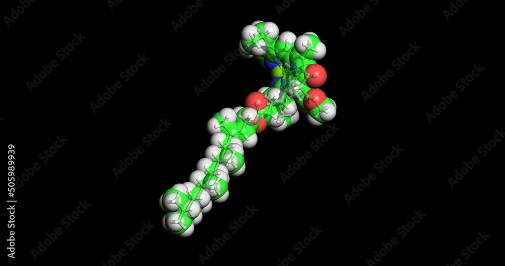 Chlorophyll A molecule Chlorophyll A molecule