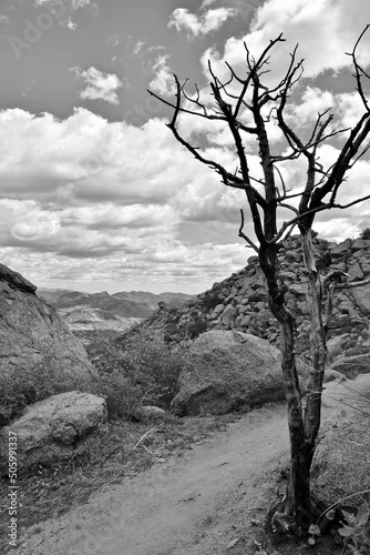 Black and white landscape on the Granite Mountain Hot Shots Memorial hike in Arizona