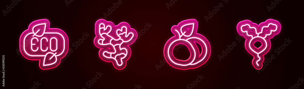 Set line Leaf Eco symbol, Ginger root, Mango fruit and Radish. Glowing neon icon. Vector Set line Leaf Eco symbol, Ginger root, Mango fruit and Radish. Glowing neon icon. Vector